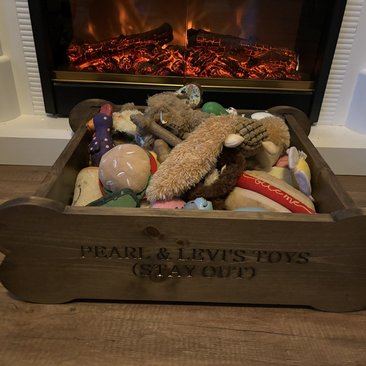 Dog Bone Toy Bin (Personalized for your fur-baby)