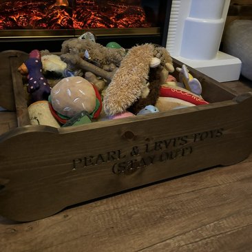 Dog Bone Toy Bin (Personalized for your fur-baby)
